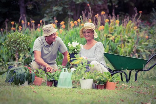 Healthy lawn care in St Giles with neat grass and seasonal maintenance