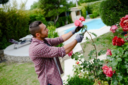 Customer complaint process for a gardening service