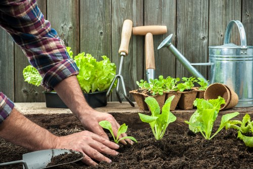 Professional garden clearance equipment used in St Giles