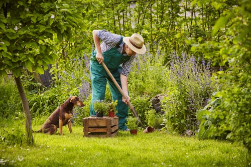 Gardening services in St Giles for a well-kept local garden
