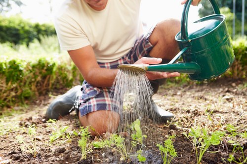 Garden maintenance work with tools and greenery