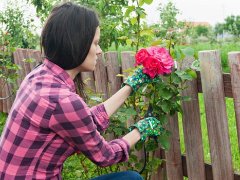 Composted green waste and recycling separation at a local site