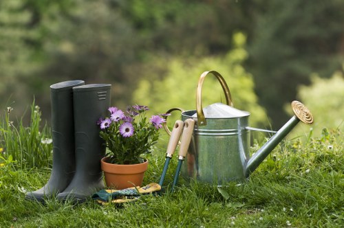 Garden maintenance in St Giles with a neatly trimmed hedge and healthy lawn