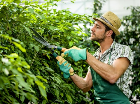 Recycling and sustainability focus for Gardeners St Giles