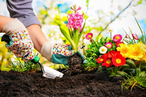 Lawn care and hedge trimming services in St Giles