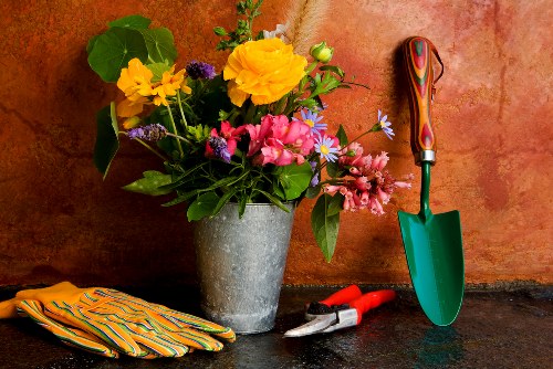 Seasonal gardening work for St Giles homes and businesses