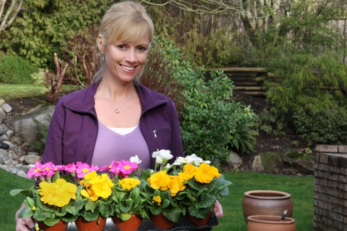 Skilled gardeners in St Giles shaping plants and borders