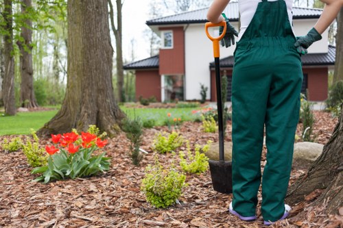 Seasonal lawn care in St Giles with aeration and overseeding support
