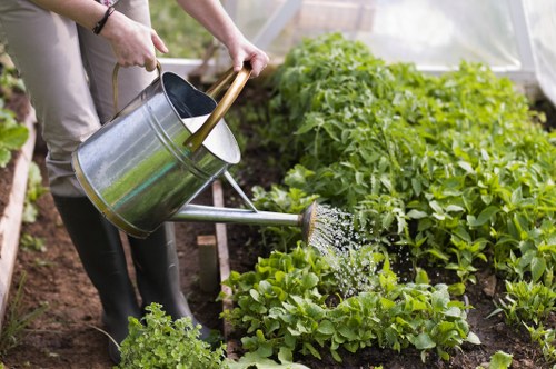 Professional gardeners in St Giles improving a landscaped garden setting