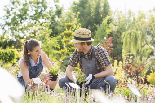 Professional garden maintenance and planting in St Giles
