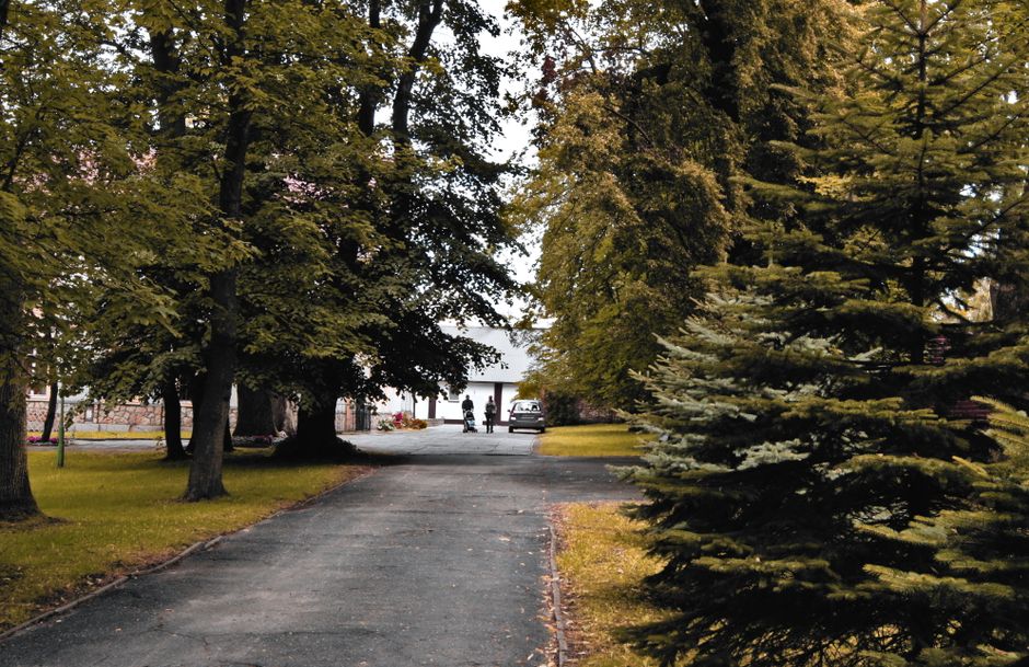 A paved pathway leading through a landscaped garden area with a variety of mature trees, including broadleaf deciduous trees with green foliage and conifers with dense, dark green needles. The pathway