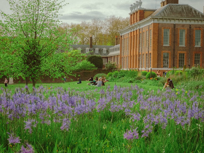 A well-maintained front garden in Bloomsbury, featuring a wide expanse of lush green lawn bordered by flowering purple plants in the foreground. Several people are sitting on the grass and benches, en